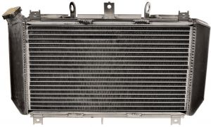chladič KAWASAKI Z 900 ABS (17-19), Q-TECH